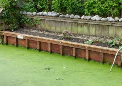 Beschoeiing aan groen water