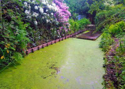 Beschoeiing in kleine tuin