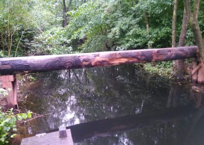 Brug over het water gemaakt van een boomstam