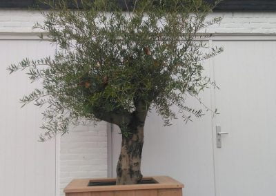 Plantenbak op maat gemaakt van hout