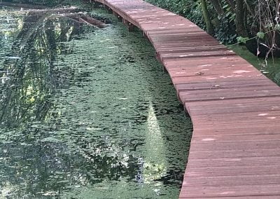 Damwand pad langs water