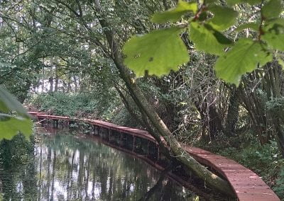 Damwand brug langs het water in een bos